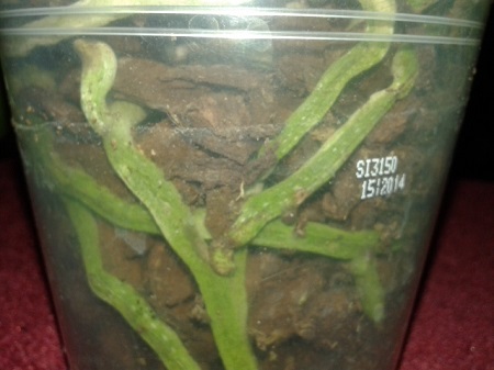 20150530_100454.jpg