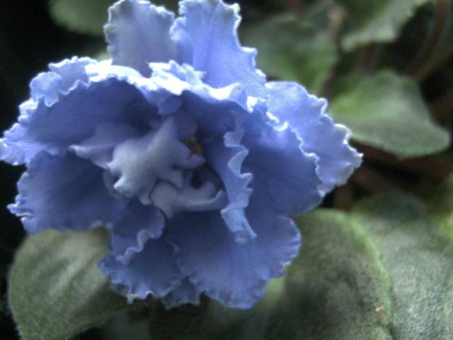 PICT0160.JPG