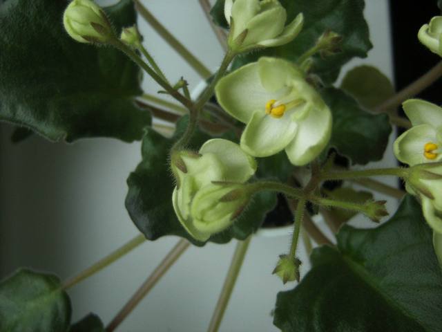 PICT0173.JPG