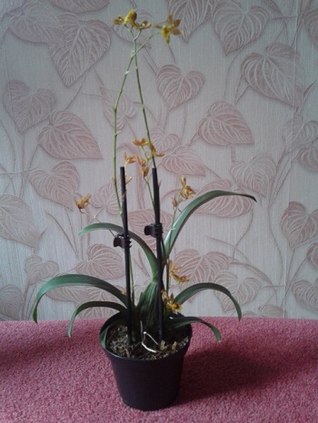 20150530_100302.jpg