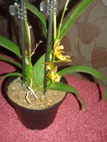 20150530_100322.jpg