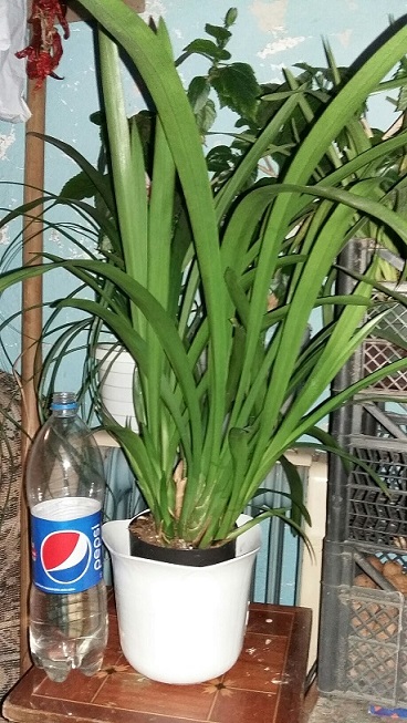 20150601_210034_resized.jpg
