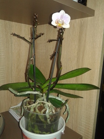 20150530_095948.jpg