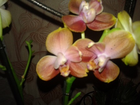 20150531_183151.jpg