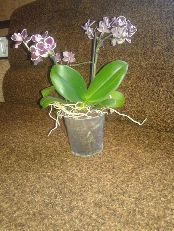 20150603_114135.jpg