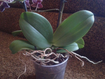 20150603_114253.jpg