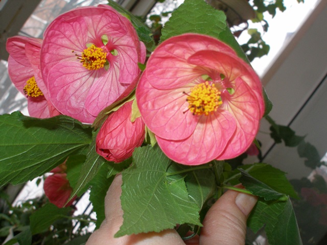 P1010374.JPG