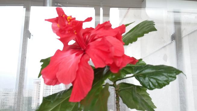 2015-06-18 09.07.22.jpg