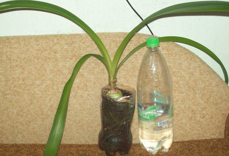 100_0899.JPG