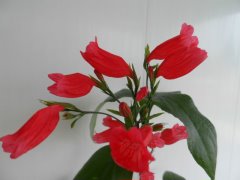 image (95).jpg