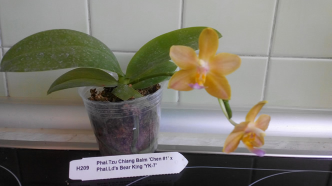 20150623111859q.jpg
