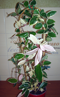 2014-07-18_214520.png