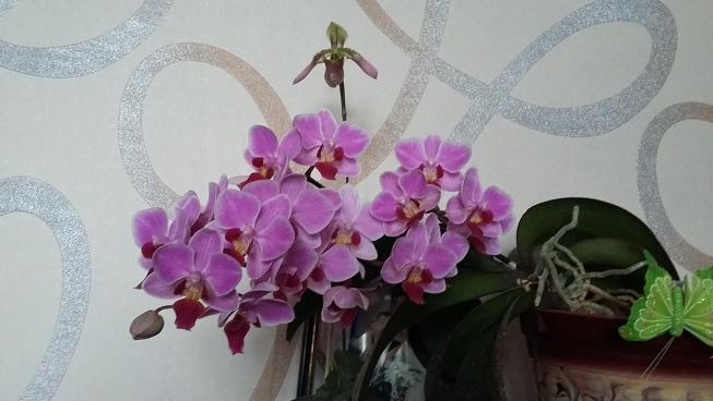 2015-02-19 15.26.05.jpg