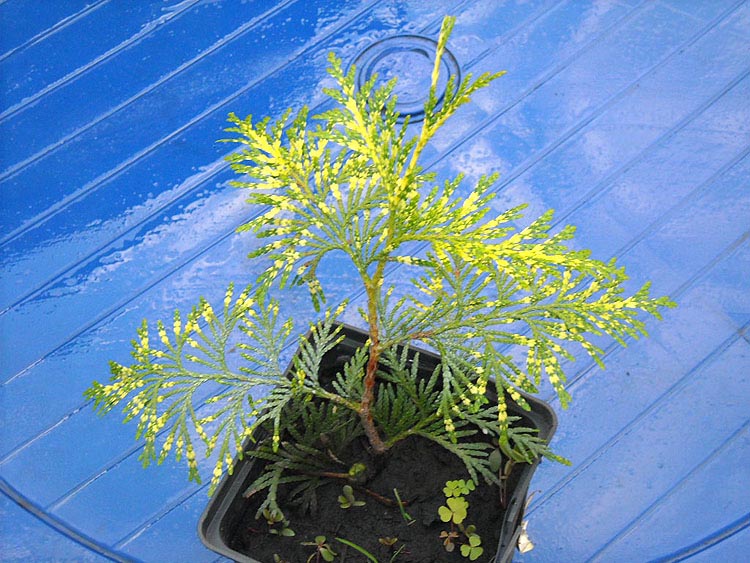 DSCN1959 copy.jpg