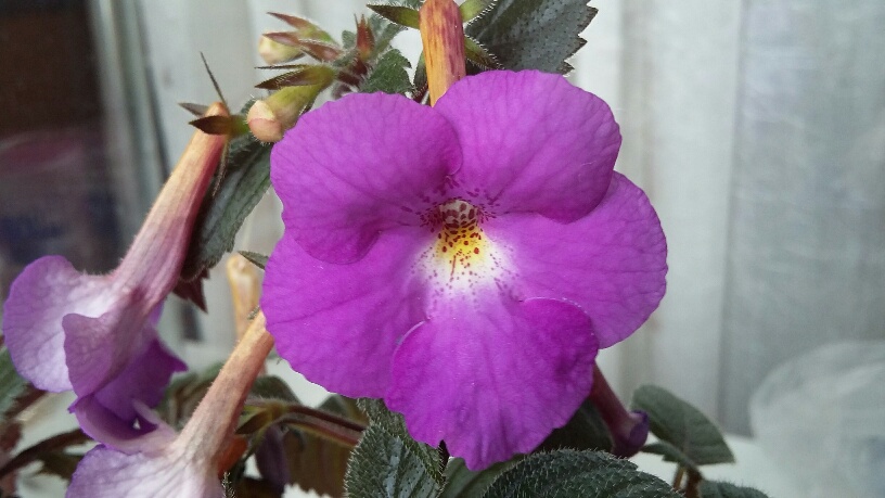 20150618_150457_resized.jpg