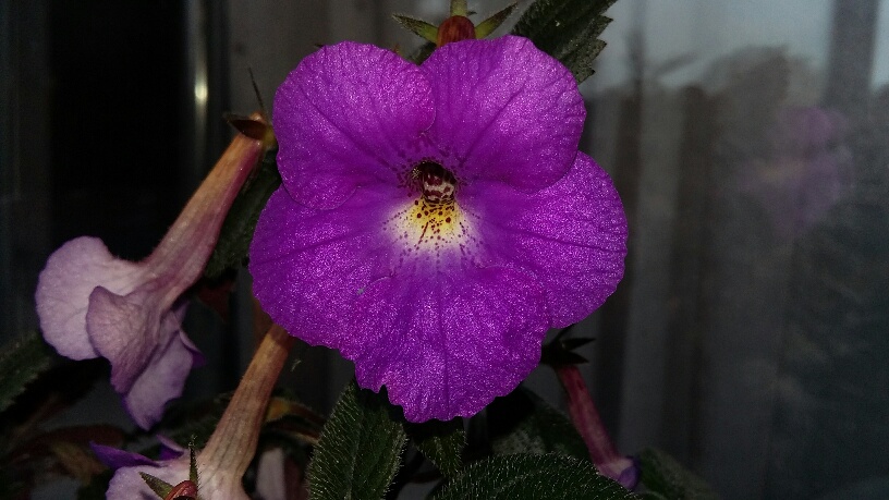 20150618_150610_resized.jpg