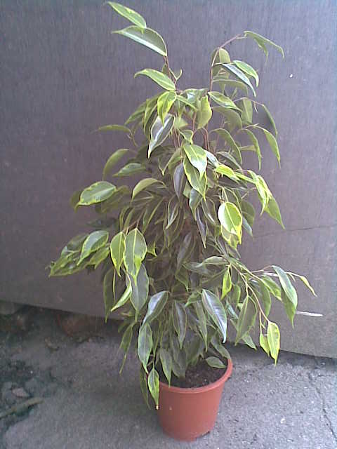 07072015517.jpg