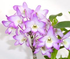 20120905164934_7ad7b74c_me_240.jpg