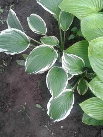 20150621_170222.jpg