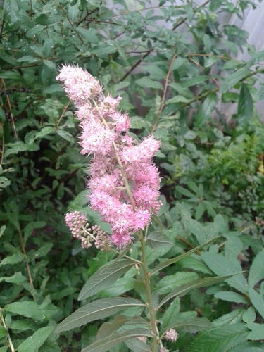 20150629_182531.jpg