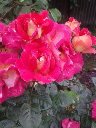 20150629_181359.jpg