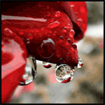 7910.gif