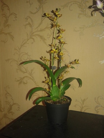 20150519_180730.jpg