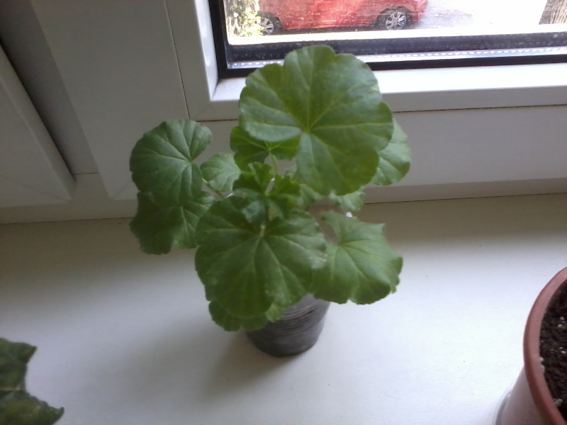 2012-01-10 23.25.56.jpg