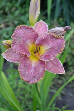 DSC_3092.JPG