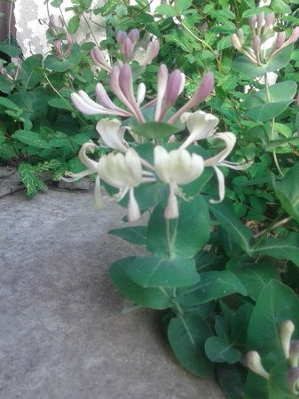 20150513_173117.jpg