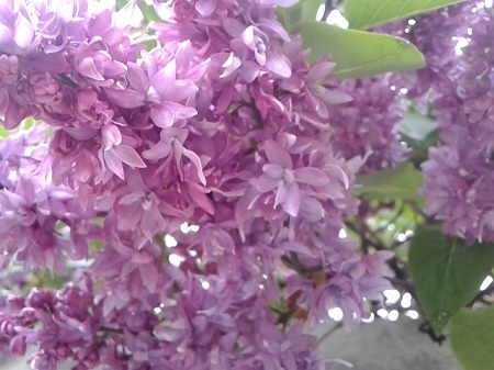 20150508_191135.jpg
