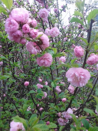 20150501_153816.jpg