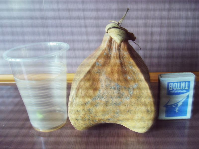 барингтония 1.jpg