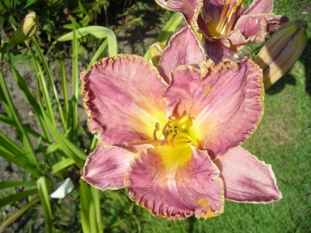 DSCN5725.JPG