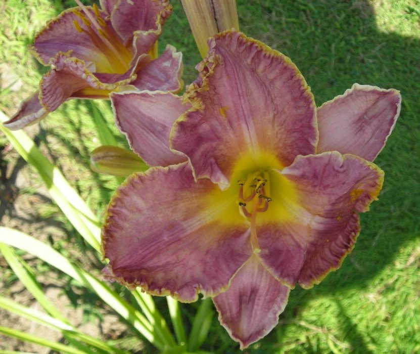 DSCN5726.JPG