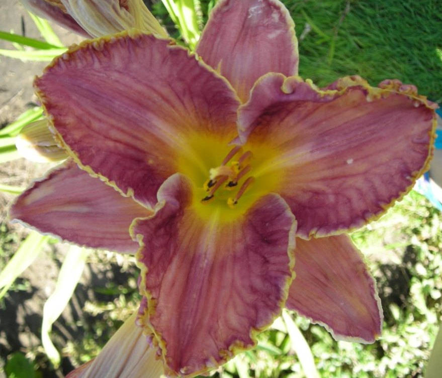 DSCN5729.JPG