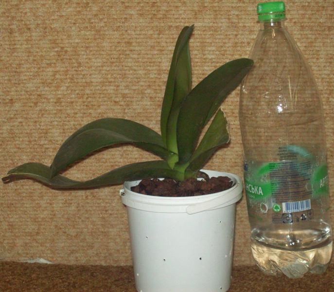 100_1094.JPG