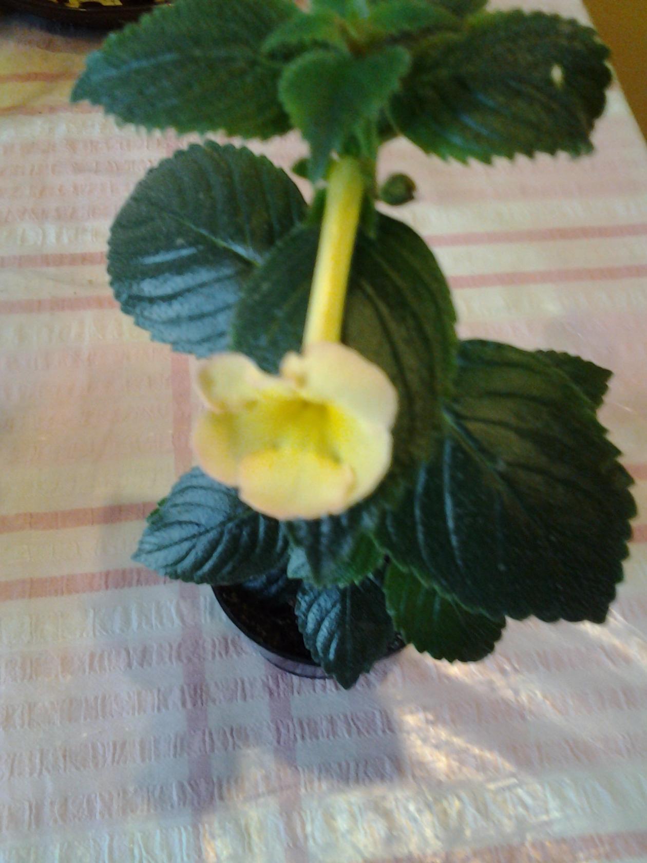 image (10).jpg
