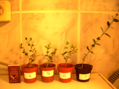 DSCN2568.JPG