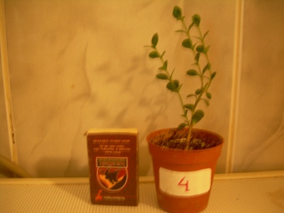 DSCN2569.JPG