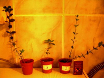 DSCN2564.JPG