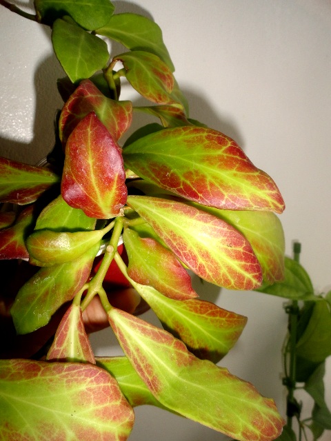 DSC01160.JPG