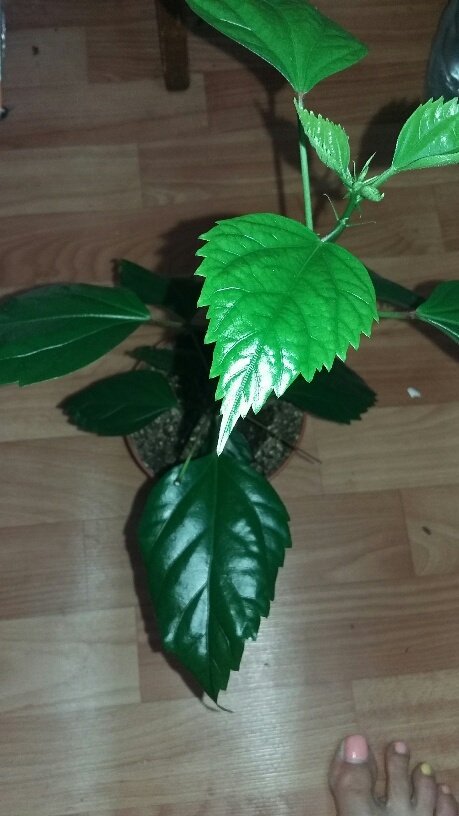 20150804_191114_resized.jpg