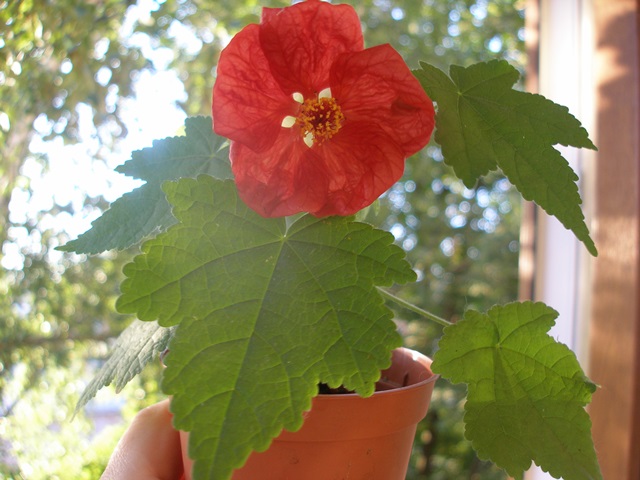 P1010246.JPG