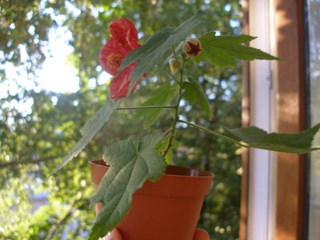 P1010247.JPG