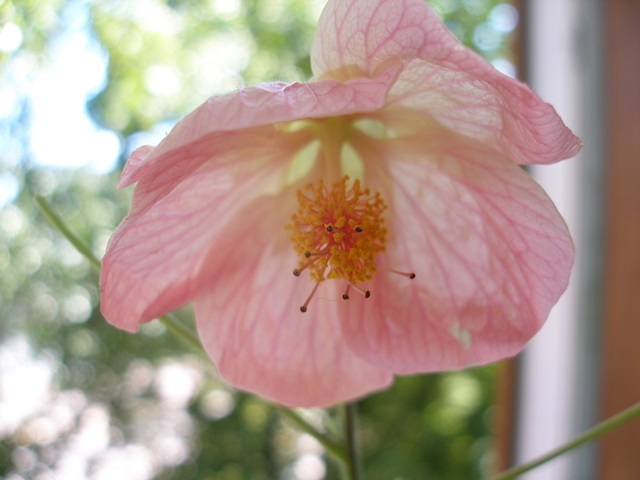 P1010311.JPG