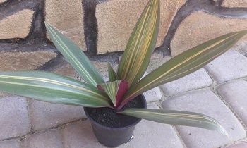 20150530_183811.jpg