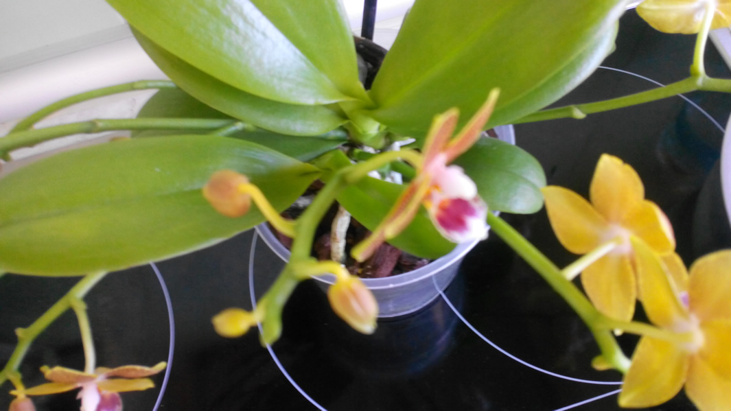 20150807143533q.jpg