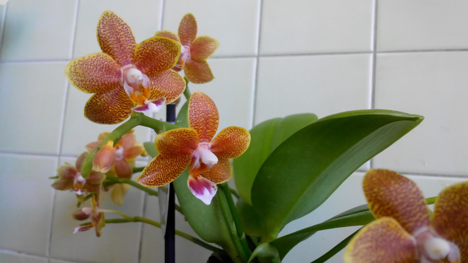 20150807121755q.jpg