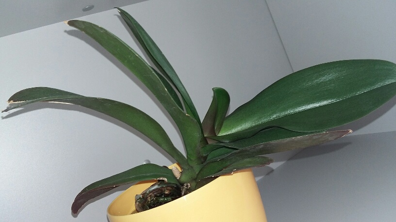 20150808_064330_resized.jpg